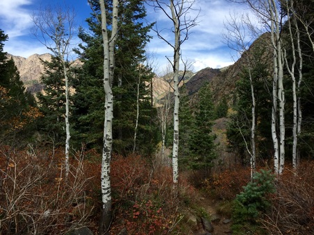 Enlarge photo 347