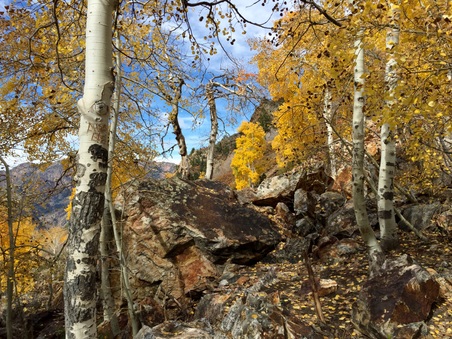 Enlarge photo 270