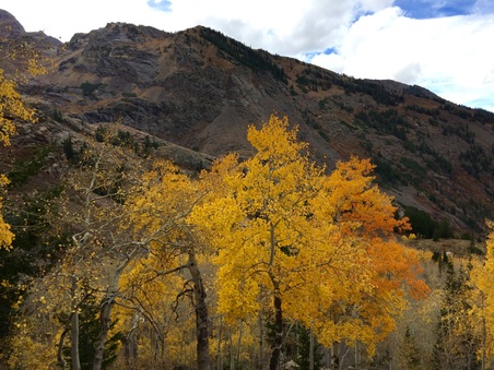 Enlarge photo 273