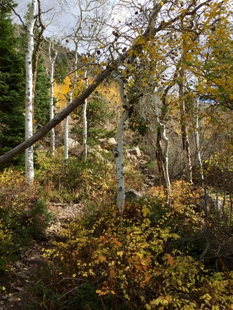 Enlarge photo 276