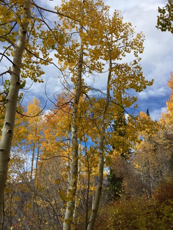 Enlarge photo 286
