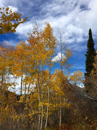 Enlarge photo 287