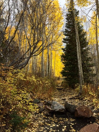 Enlarge photo 290