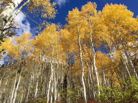 Enlarge photo 304
