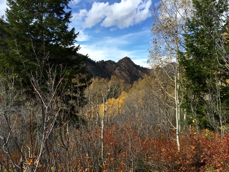 Enlarge photo 306