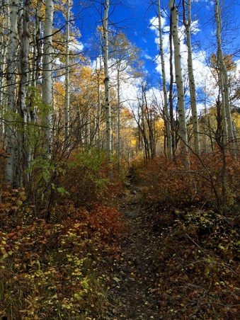 Enlarge photo 320