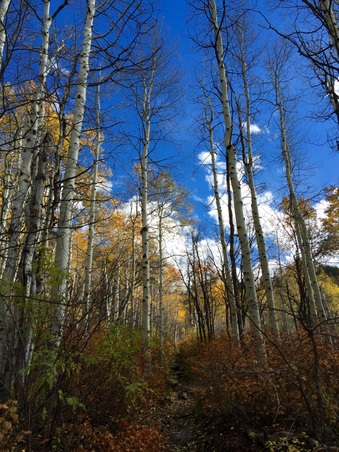 Enlarge photo 321