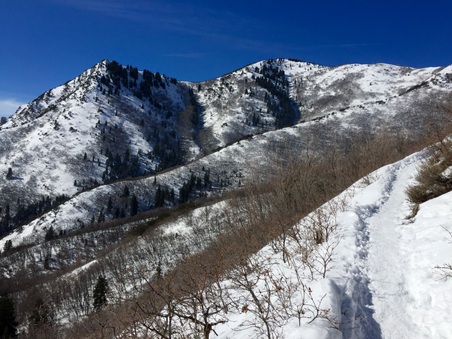Enlarge photo 795