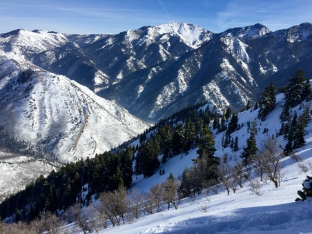 Enlarge photo 802