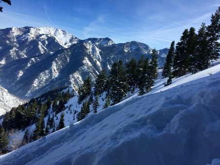 Enlarge photo 804