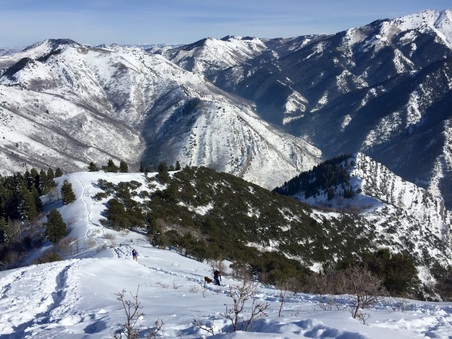 Enlarge photo 805