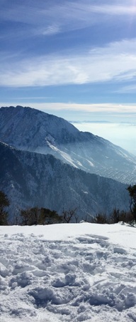 Enlarge photo 813