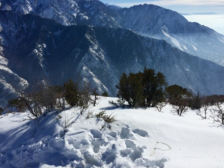 Enlarge photo 815