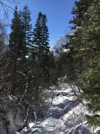 Enlarge photo 786