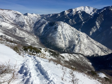Enlarge photo 818