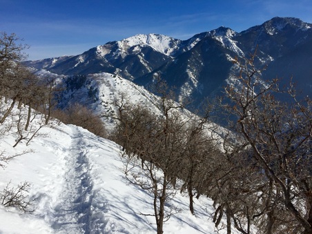 Enlarge photo 819