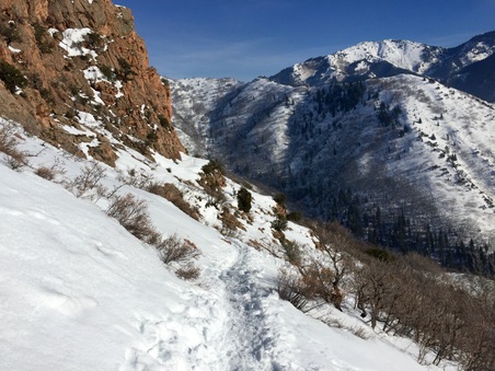 Enlarge photo 821