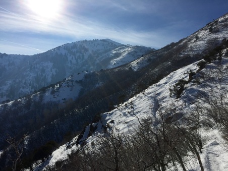Enlarge photo 822