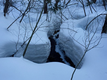 Enlarge photo 824