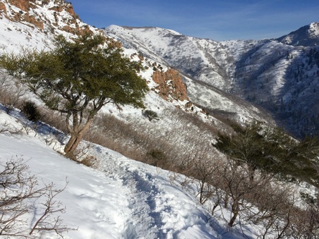 Enlarge photo 826