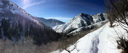 Enlarge photo 790