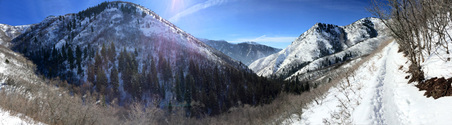 Enlarge photo 827