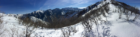 Enlarge photo 830