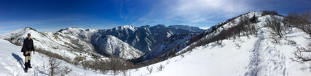 Enlarge photo 831