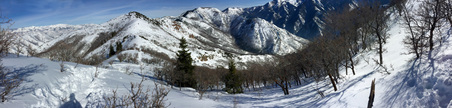 Enlarge photo 832