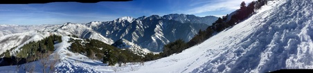 Enlarge photo 836