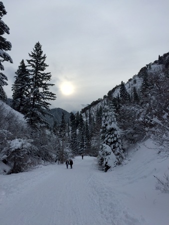 Enlarge photo 23
