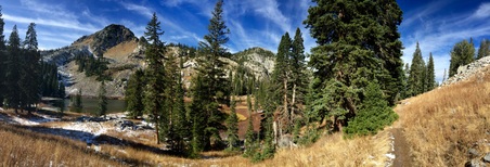 Enlarge photo 354
