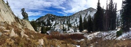 Enlarge photo 355