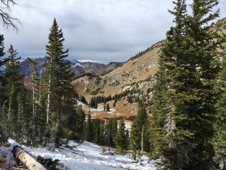 Enlarge photo 402