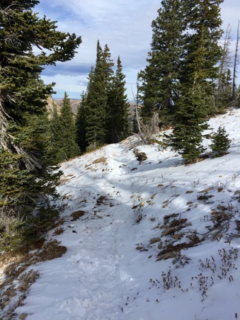Enlarge photo 403