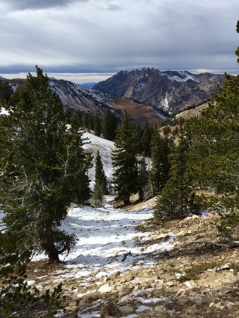 Enlarge photo 412