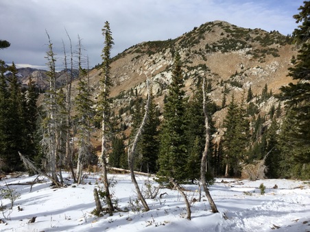 Enlarge photo 413
