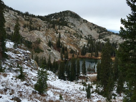 Enlarge photo 420