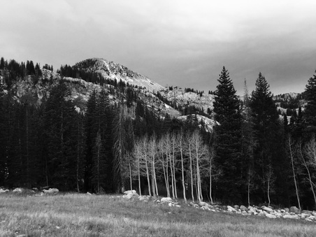 Enlarge photo 425