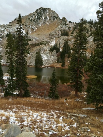 Enlarge photo 428