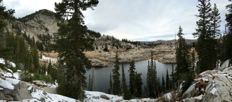 Enlarge photo 429