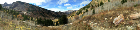 Enlarge photo 223