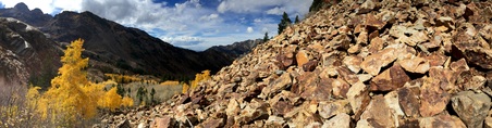 Enlarge photo 224