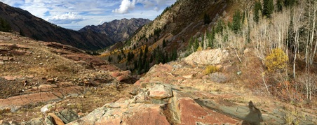 Enlarge photo 225