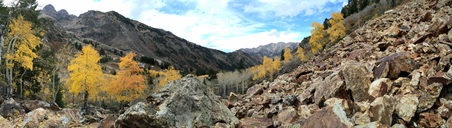 Enlarge photo 228