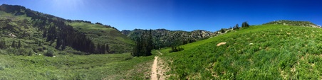 Enlarge photo 1065