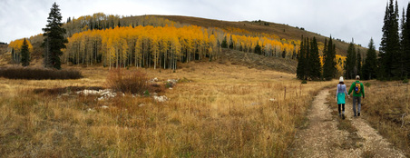 Enlarge photo 190