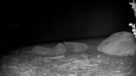 Enlarge MOV 1029