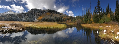 Enlarge photo 955