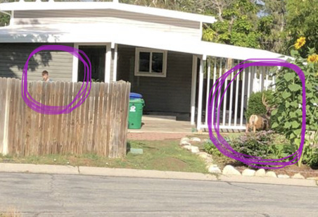 Enlarge photo 1019